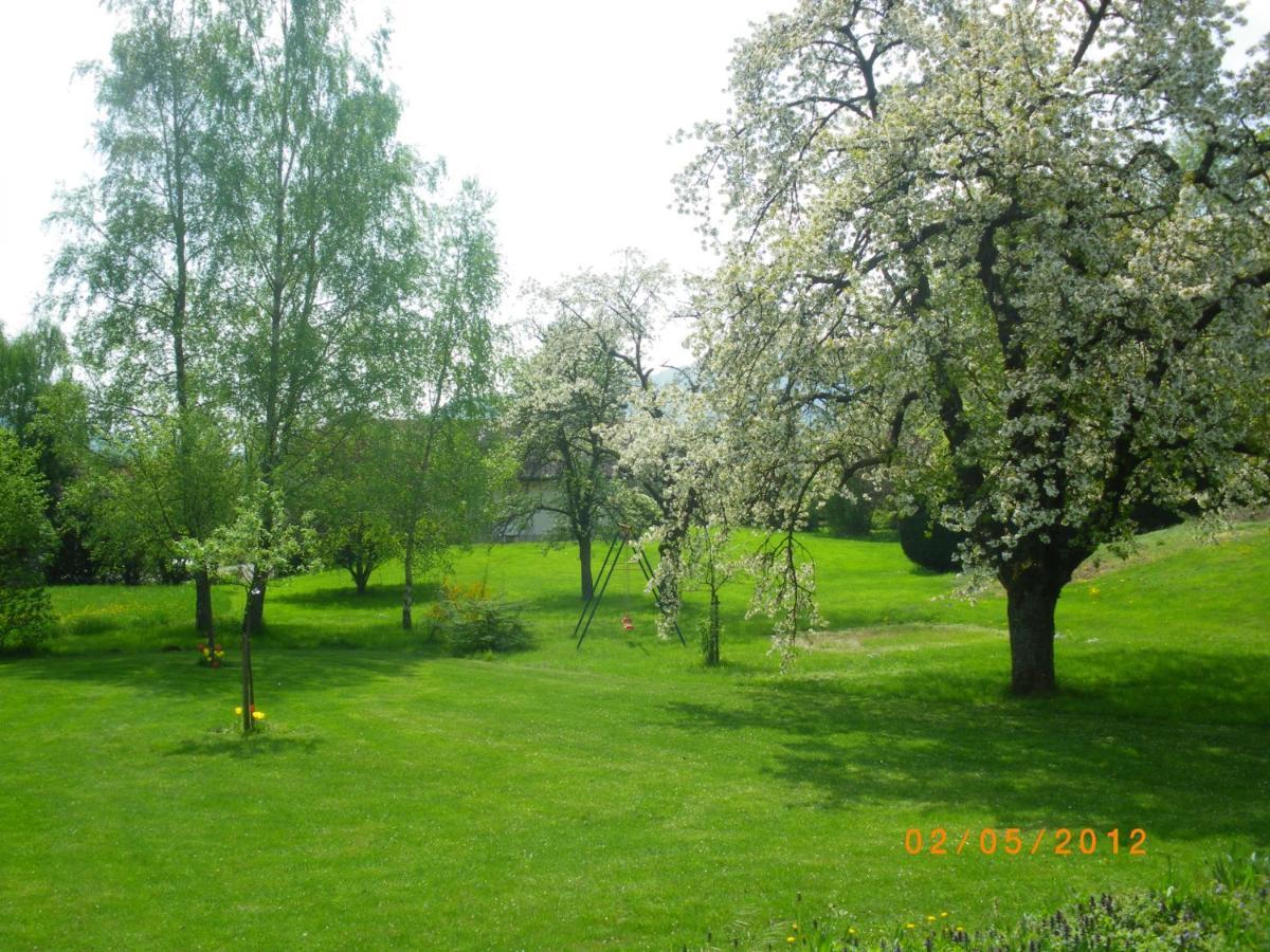 Entre Thur Et Montagne Bed & Breakfast Willer-sur-Thur Exterior photo